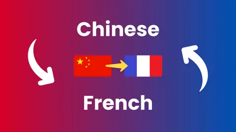 Chinese to French Translation translation service
