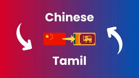 Chinese to Tamil Translation translation service