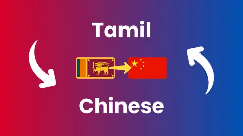 Tamil to Chinese Translation Services translation service